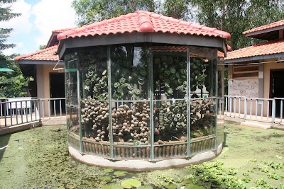 museum