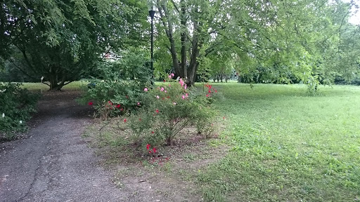 Bio Parco - Thumbnail