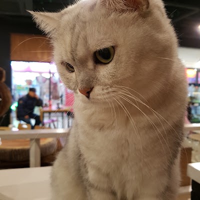 Photos of 라페스타