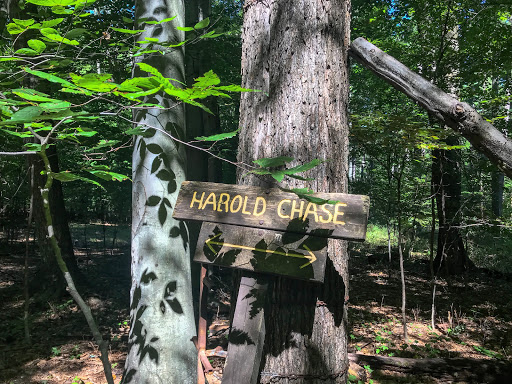 Comden-Towle Model Forest Gallery - United States