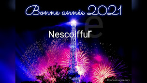 Photo n°15 de Nescoiffure à Mâcon (Salon de coiffure)