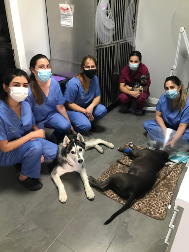 Centro Veterinario Ohana