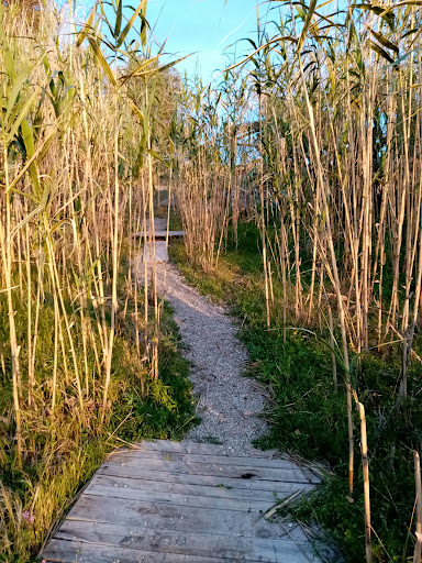 Parco della Conoscenza e del Benessere - Thumbnail