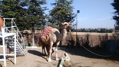 Photos of Posta Bah&ccedil;e Kebap Salonu