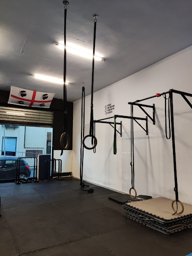 Palestra Europa - Thumbnail