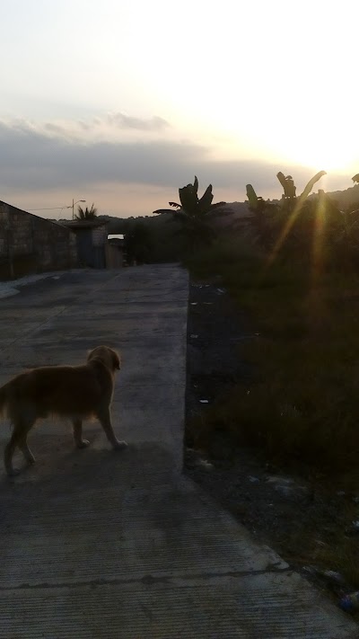 Photos of "Vista Al Rio De Los Geranios"