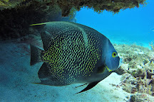 Dive Safaris, Simpson Bay, St. Maarten-St. Martin