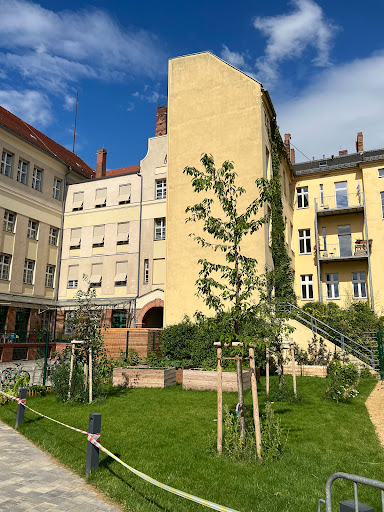 Platanus school - Visual
