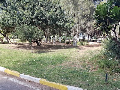 Photos of Public park new city