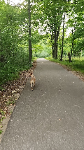 Springbrook Trail - Visual