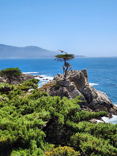 17 Mile Drive Tour - Thumbnail