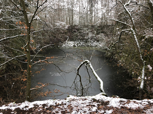 Blauer See - Visual