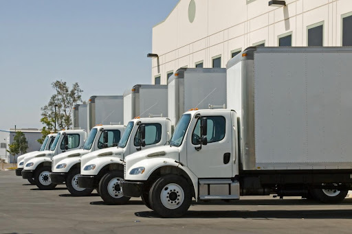 Pine transport - Visual