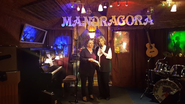 Mandragora: stylish oasis of comfort