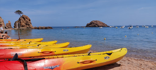 Kayaks Nicolau & Paddle Surf