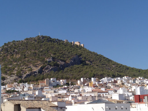 Agencia Inmobiliaria APISUR JAÉN Gallery - Spain