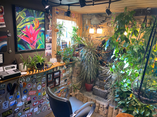 Ben's Studio - Visual