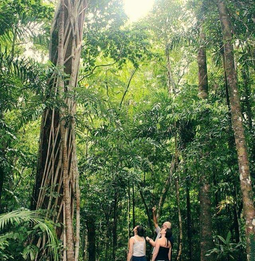 Walkabout Cultural Adventures - Thumbnail