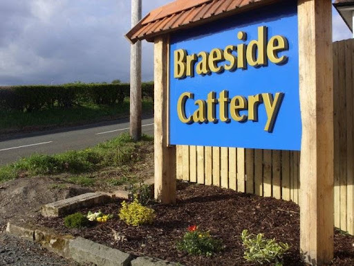Braeside Cattery & Kennels - Thumbnail