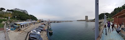 Photos of 외옹치항