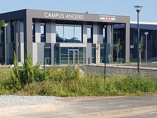 Ipac Bachelor Factory Angers - Thumbnail