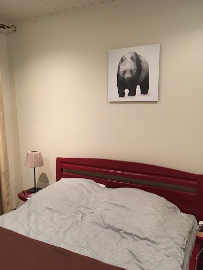 Photos of Hotel Mezaparks