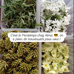 Photo n°8 de Alma Bistronomie à Marseille (Restaurant)