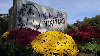 Turkey Point Vineyard Tasting Room