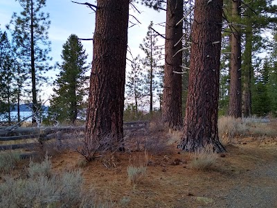 Taylor Creek Visitor Center