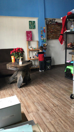 Clinica veterinaria Los amigos