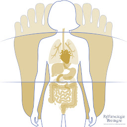 Photo n°2 de Réflexologie Bretagne à Pleugueneuc (Réflexologue)