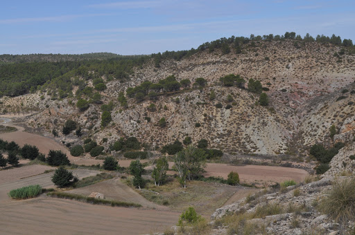 Los Palomares - Thumbnail