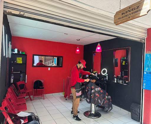 Kingz Barbería y Peluquería