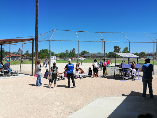 Dalhart Baseball Fields - Visual