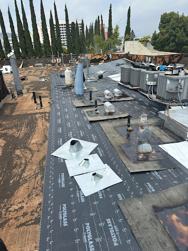 post-image-1