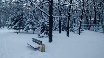 Photos of Джунгли Зовут
