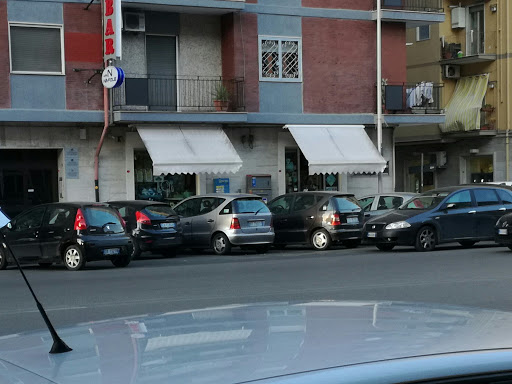 Orizzo Francesco