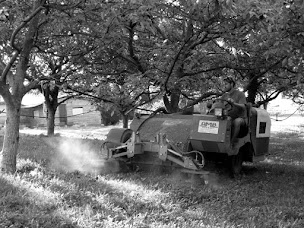 Photo n°12 de Earl les Vergers Du Puits à Bren (Ferme bio)