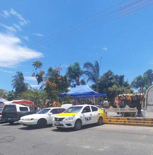 Taxis de Ocotlán