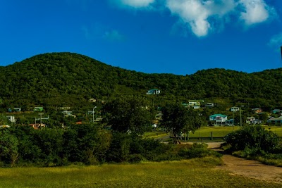 Photos of Morris Bay