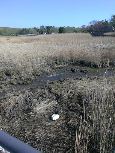 Westport Ghorham Island LIS public access - Thumbnail