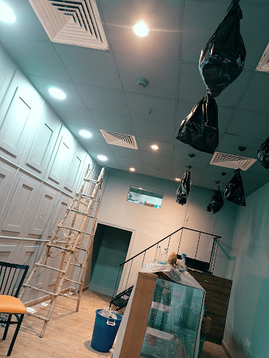 Gallery image 8