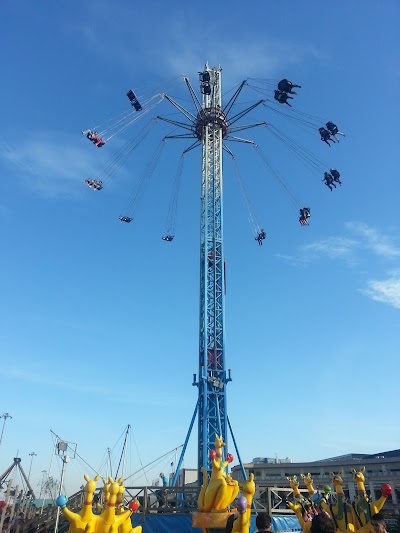 Dal Lunapark Makinaları