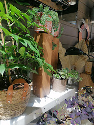 Photo n°13 de Petites Graines Fleuriste à Sautron (Fleuriste)