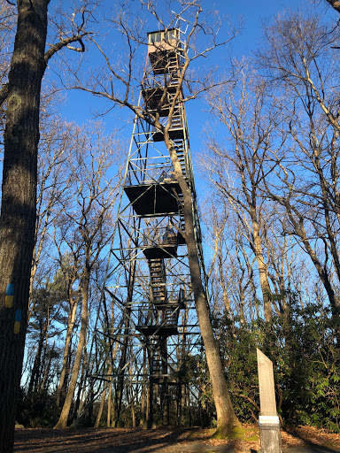 Cook Forest Tower