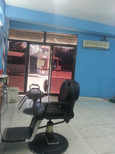 Photos of Auto Electric Pindo