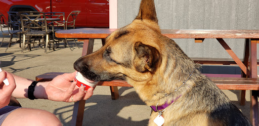Devaney's Eats & Treats - Visual