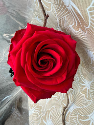 Photo n°5 de Les fleurs de B à Toulon (Fleuriste)