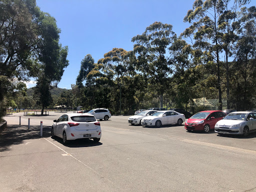 Harding Podiatry - Sydney Academy of Sport - Thumbnail