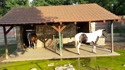 Photos of Skopje Zoo